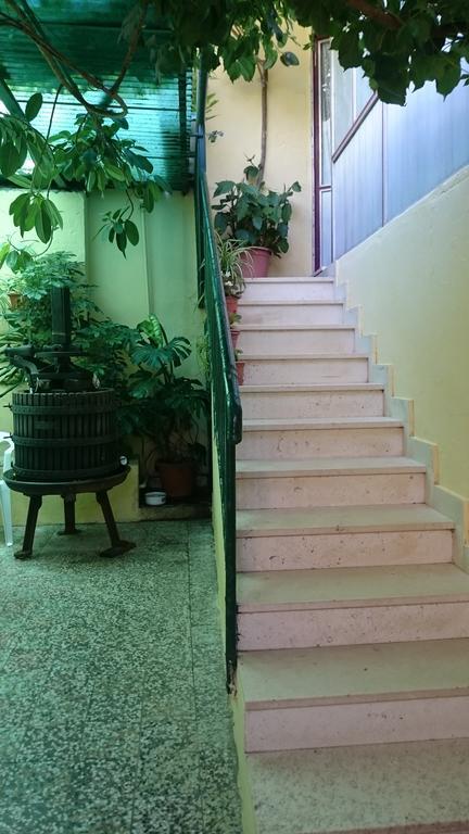 Apartments Petkovic Kuciste Zewnętrze zdjęcie