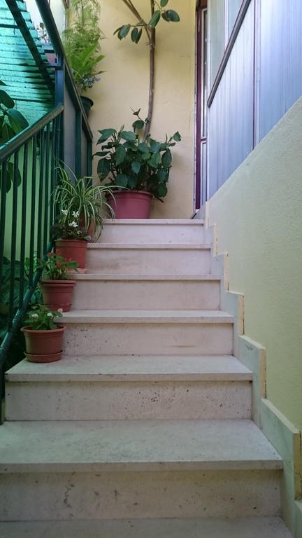 Apartments Petkovic Kuciste Zewnętrze zdjęcie