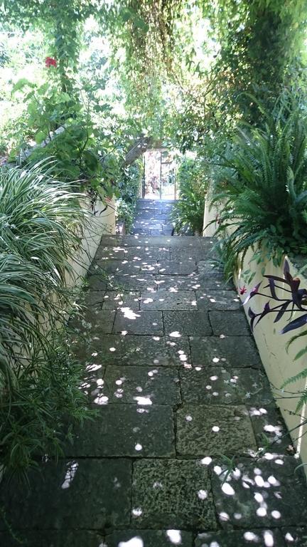 Apartments Petkovic Kuciste Zewnętrze zdjęcie