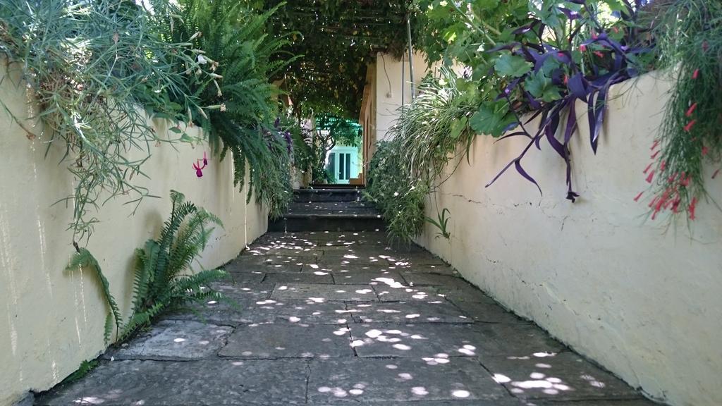Apartments Petkovic Kuciste Zewnętrze zdjęcie
