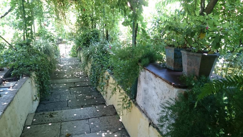 Apartments Petkovic Kuciste Zewnętrze zdjęcie