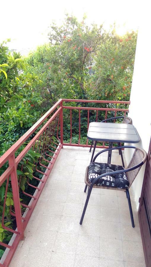 Apartments Petkovic Kuciste Zewnętrze zdjęcie